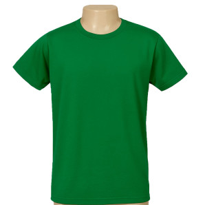 CAMISA POLIÉSTER VERDE BANDEIRA 